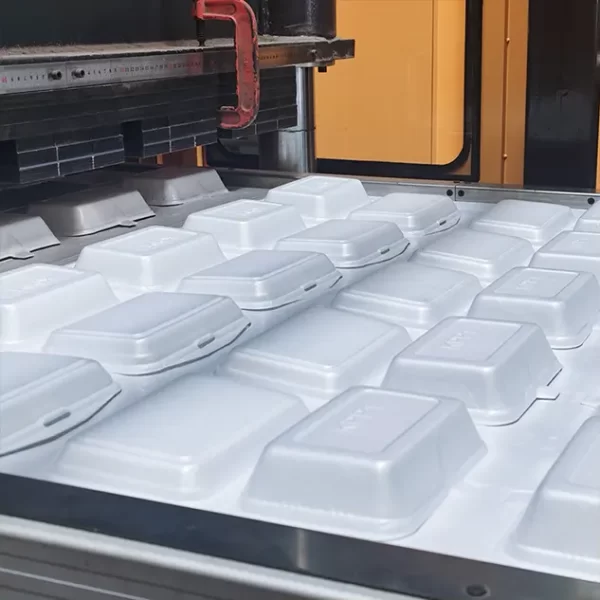 foam lunch box machine