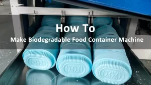degradable food container machine