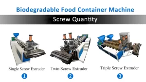 egradable food container machine type