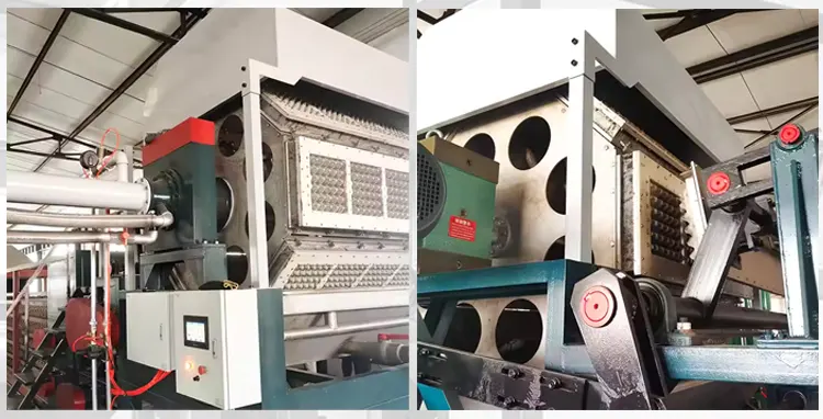 banner egg tray line
