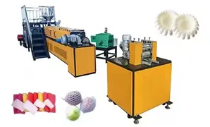 Fruit Tray Machine